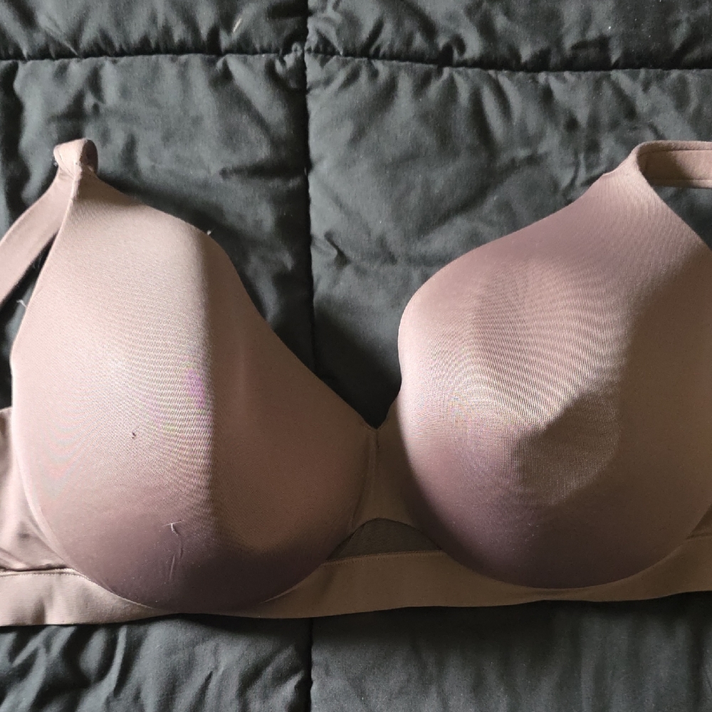 Cacique Brown Women's Bra